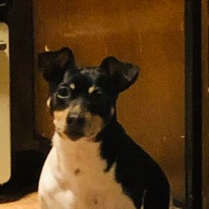 Meet your Posher, Cameron